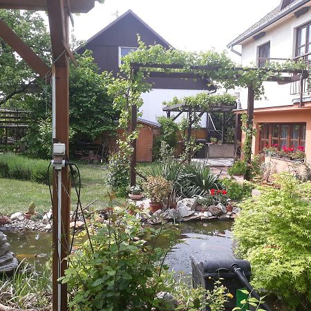 Pension Zeleny Strom Mikulov Exterior foto
